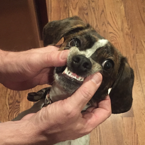 Team Page: Dawg Pound